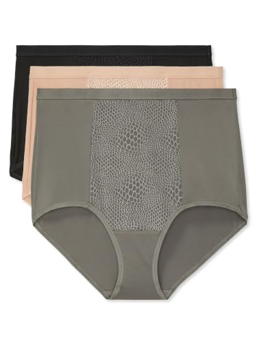 Image of Warner's Women's Blissful Benefits By Warner's Tummy Smoothing Brief Panties Multipack