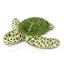 Sea Turtle