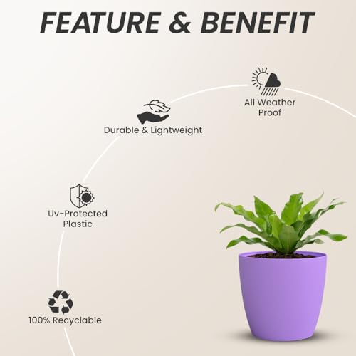 Image of YUCCABE ITALIA SHERA Stella 5 Inch Plastic Plant Pot for Home Decor Indoor Plant Pots for Living Room Plastic Flower Pot for Garden (Lavender, 5 INCH - 6 Pcs)