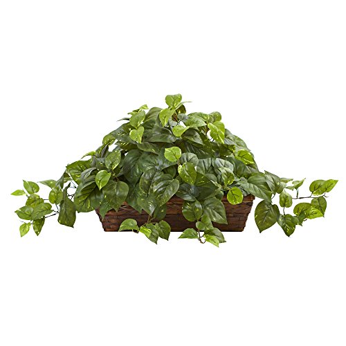 Nearly Natural 34in Artificial Pothos Ivy Plant with Ledge Basket Faux Trailing Cascading Greenery for Indoor Home Decor by Nearly Natural - Used condition - US$36.96