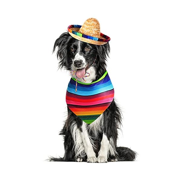 Dog sombrero hat multicolor sombrero hats straw mexican hat and dog bandana pet triangle bib costume for mexican cinco de mayo fiesta decorations - image 8