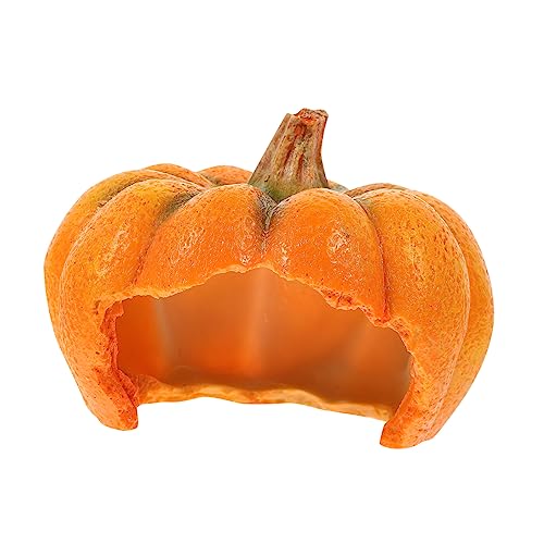 VANZACK Z eE 㝗p ঒މB wrJp̃VF^[ ̎_[NGA_NgfUC