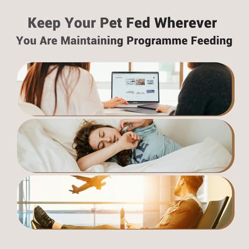 IMIPAW Futterautomat Katze 2 Näpfe - Katzenfutter Automat mit einem Knopf, Zeitgesteuerte Futterautomat 16 Tassen, 4L Katzenfutterspender, 1-6 Mahlzeiten Portionskontrolle