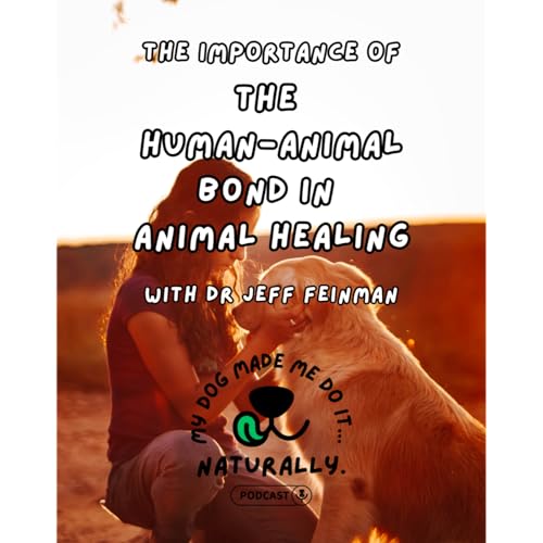 The Importance of the Human Bond in Animal Healing with Dr Jeff Feinman