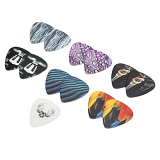 Celluloid Pick Guitar Roll Set Design Unique Nice Gift Medium Gauge 13 Pieces With Case (texture) - Les Beatles, Paul McCartney, John Lennon, RIngo Starr, George Harrison