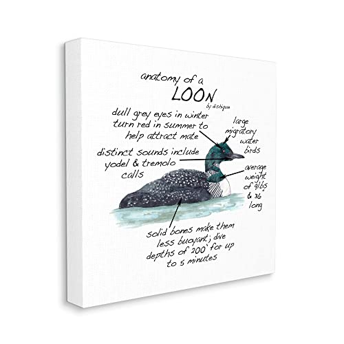 Image of Loon Water Bird Anatomy Chart, 24 x 24 Inch Canvas Wall Art | Stupell Industries . By Dishique . Ready to hang . Educational wildlife decor . Made in USA