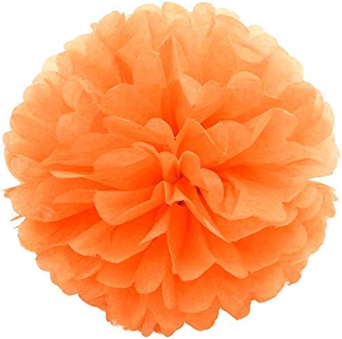 JZK 10 Tissue pom poms 10 inch 25 cm pompoms decorations accessories for wedding birthday baby shower hen night holy communion graduation baptism party supplies Christmas Halloween bedroom hanging paper flower balls (white)