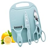 Magicorange Travel Cutting Board Set, 4 Pcs Portable Mini Camping Plastic Cutting Board Set & Stainless Steel Knife with Sheath, Fruits & Vegetable Peeler Scissors (Blue)