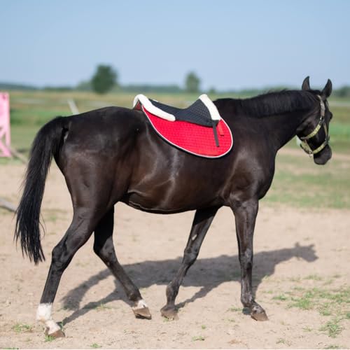 Start Sattelpad anatomisch – Kunstfell Sattelkissen für Pferd – ergonomische Sattelunterlage gegen Druckstellen – maschinenwaschbar & atmungsaktiv - FurArtifical (Schwarz, Large)