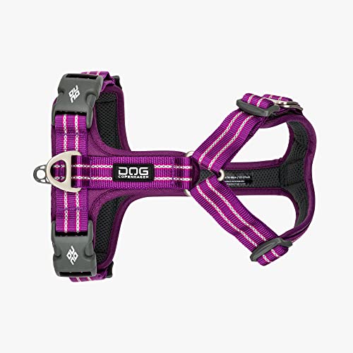 DOG Copenhagen Hundegeschirr - Comfort Walk Air Version 2 - Brustgeschirre für Hunde, Purple Passion, XS