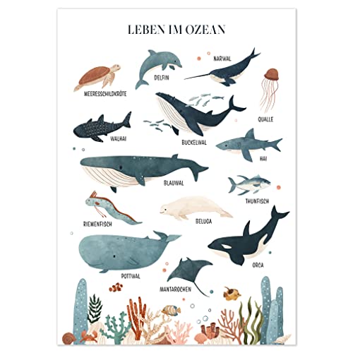 kizibi® Leben im Ozean Poster für Kinderzimmer, DIN A2, Wale, Delfin, Hai, Fische, Poster für Mädchen und Jungen, Fische zum Lernen, Wale Lernposter | Ohne Rahmen Cover