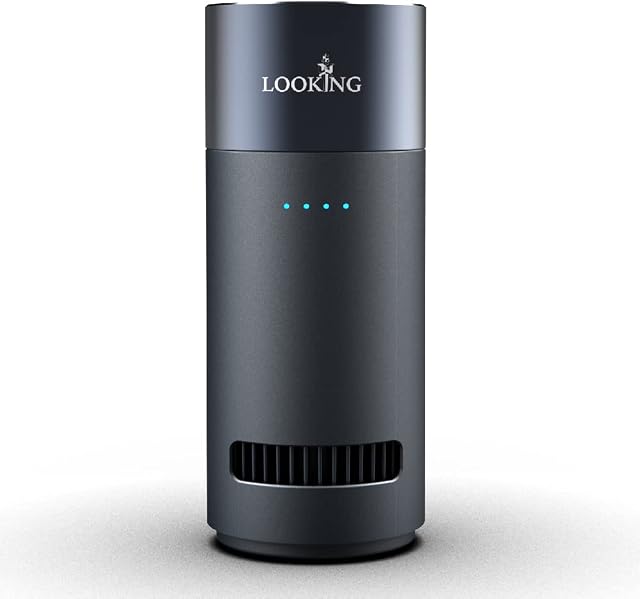 LKT Ozone Generator for Car Odor Removal (K200)