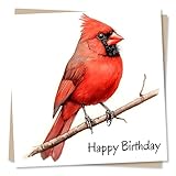 Birthday Greeting Card – Red Cardinal Bird Illustration – Blank Inside (135 x 135 mm) – Made in UK – With Envelope