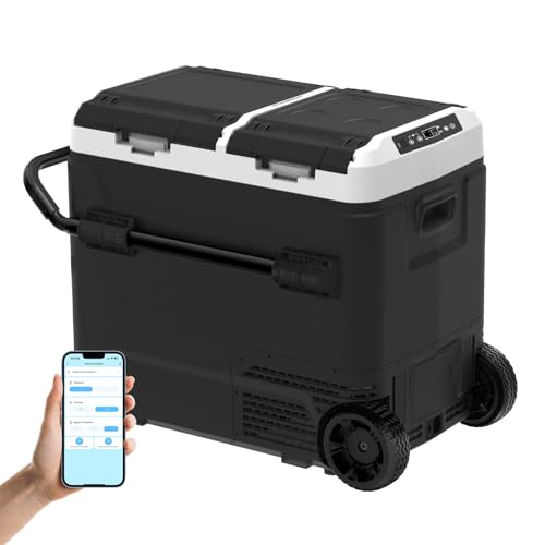 SHAREWIN 60L Dual Zone Portable Fridge