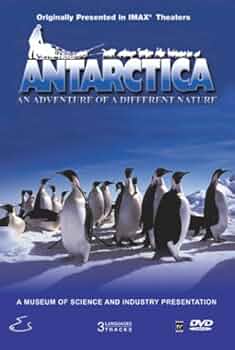 (未使用･未開封品)National Geographic: Antarctic Wildlife Adventure [DVD] Antarctic Wildlife Adventure - National Geographic (DVD