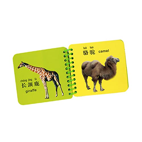 TOYANDONA 3Pcs Livros Para Bebês Livros De Bebê Inglês Livros De Aprendizagem Do Bebê Livro Do Bebê