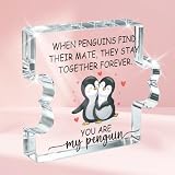PVOPVO Valentines Romantic Gifts for Him Her Boyfriend Girlfriend Valentine's Day Anniversary Wedding Birthday Penguin Gifts for Women Men I Love You Gift for Couples Wife Husband