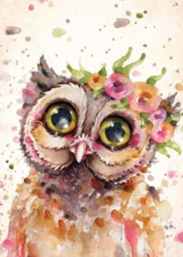 Point de Croix Starter Kit Chouette broderie pré-imprimée 40x50cm