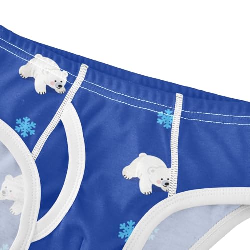 Cute Polar Bear Snowflake Blue Toddler Boy's Underwear 2T 23022354