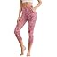 Pink Paisley Floral Print
