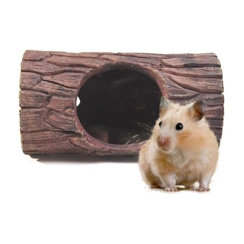 Abri pour reptiles LearnLyrics Cover