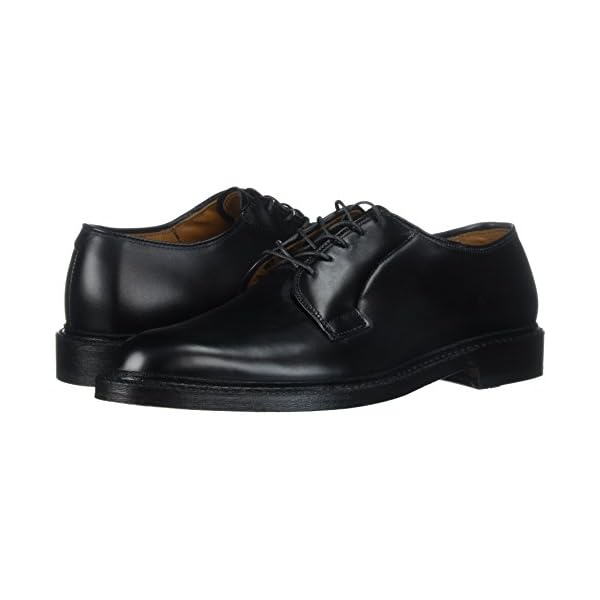 Allen Edmonds Leeds Plain Toe Blucher Shoe - Image 8