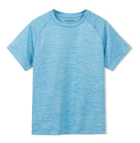 ALAVIKING Workout Shirts for Men Quick Dry Gym Athletic Running T Shirts Fitted Casual Short Sleeve Sports Active Crew Neck Tee Tops (Light Blue-XL)