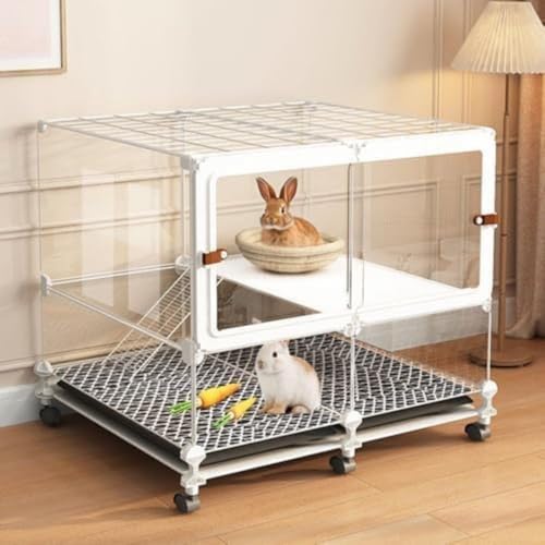 pP[WASɓAʋCAbgAETMAtFbgA``ɓKĂ܂