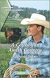 Cover zum Buch A Cowboy in Amish Country