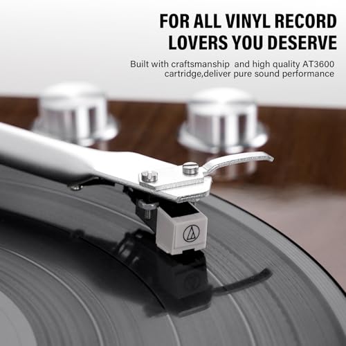 Manual Belt Drive Turntable