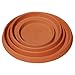 Tusco TR18T Rolled Rim Saucer, Terra Cotta, 18-Inch