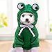 Warm Dog Winter Clothes Cute Fruit Dog Coat Hoodies Fleece Pet Dogs Costume Jacket for French Bulldog Chihuahua Ropa para Perro(Green,S)