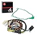 Stator & Gasket Compatible with Yamaha Timberwolf 250 YFB250 2WD 4WD 1994-2000 Bear Tracker 250 YFM250 2WD 1999-2000 4BD-85510-20-00