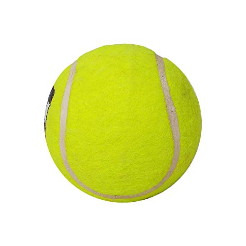 Image of GM Light Tennis Cricket Ball (Yellow)