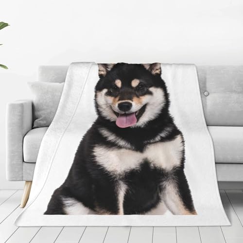 uPbg Č   킢  ѕz GARuPbg ӂӂ  tl Ђ| _炩G g Ódh~ 􂦂 lC v[g lGKp 125cmx150cm