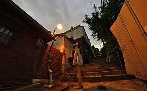 Rokinon Ae14M-C 14Mm F/2.8-22 Ultra Wide Angle Lens With Built-In Ae Chip For Canon Ef Digital Slr,Black #TOP7