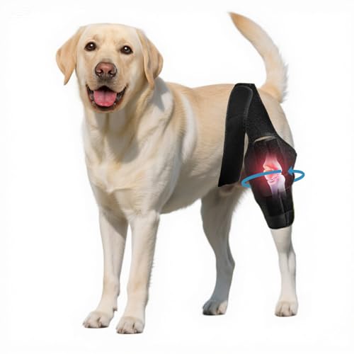Nylvian Dog Knee Brace for Torn Acl Hind Leg - Adjustable Stabilizing Support for Ccl Injury, Luxating Patella, Hind Leg Pain & Arthritis - Rear Leg Limp Support by Nylvian - Used condition - US$26.21