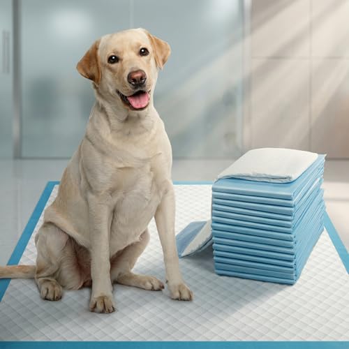 Image of Dog Training Pads Large 90x60cm Pack of 25 | Disposable Puppy Pee Pads, 6 Layer Leak Proof, Super Absorbent, Quick Dry, Odour Control for Indoor Potty Training