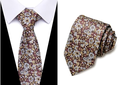 Image of Passabin Tie For Men Necktie Woven Jacquard Neck Ties Set 6 PCS