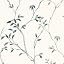 Botanical