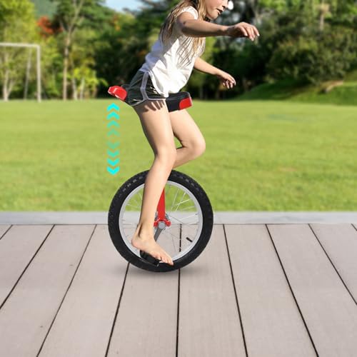 LOONGWEIA 16 inch Wheel Unicycle with Alloy Rim, Height Adjustable Unicycle Bike with One Wheel Bicycle