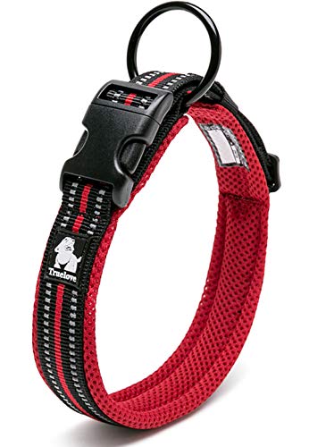 J&C Paradise   {KX p y 3M bV  lC ɂȂ \tgpbh ʋC v ȒP TRUELOVE (bh, ?L)