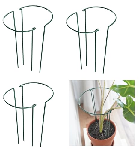 6 Pack 15.8 Inch High Plant Stake,Garden Plant Support,Half-Round Peony Cage Plant Ring Hoop