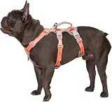 Huntboo No Escape Dog Harness, Escape Proof Harness, Fully Reflective Harness with Padded Handle, Breathable,Durable, Adjustable Vest for Medium Dogs Walking, Training, and Running Gear (Orange,M)