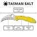 Spyderco Tasman Salt 2 Lightweight Knife with 2.91