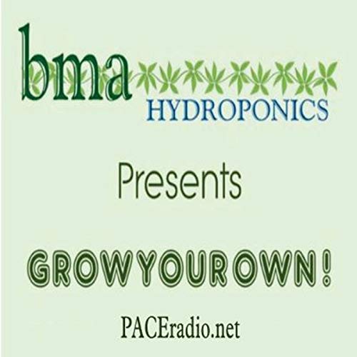 GYO - UI 2021 - Drip System Part 2 - Results