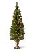 National Tree 5 Foot Montclair Spruce Entrance Tree with 100 Clear Lights in Gold Urn (MC7-308-50)