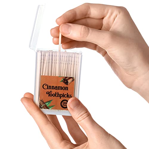mumufy 400 pcs 4 boxes cinnamon toothpicks for adults cinnamon flavored toothpicks with clear plastic boxes 100 pcs for each box