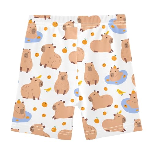 Cute Capybara with Birds Girls Shorts Elastic Waist Sports Shorts Girls Leggings Pants for 4-10 Years2