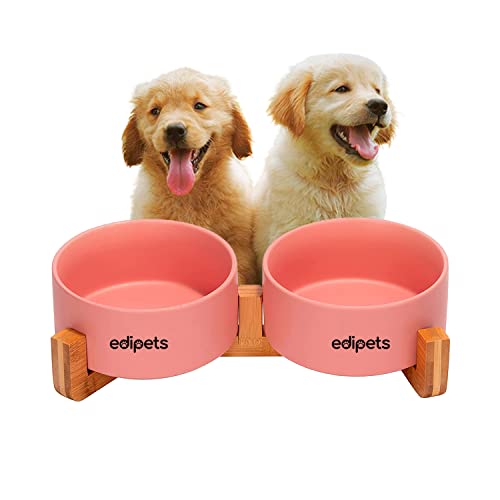 Edipets, Comedero Perro Gato, 400, 800 y 1900 ml, Cerámica, Individual y Doble, Soporte de Bambú Antideslizante, Pequeño Mediano y Grande, 5 Colores (Doble Pequeño, Rosa)